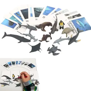 Loomade Mudelite Sobitamine Kaardid Loomade Picture Mälukaart Mere Loomade Sobitamine Kaardid Montessori Keele Õppe Materjal